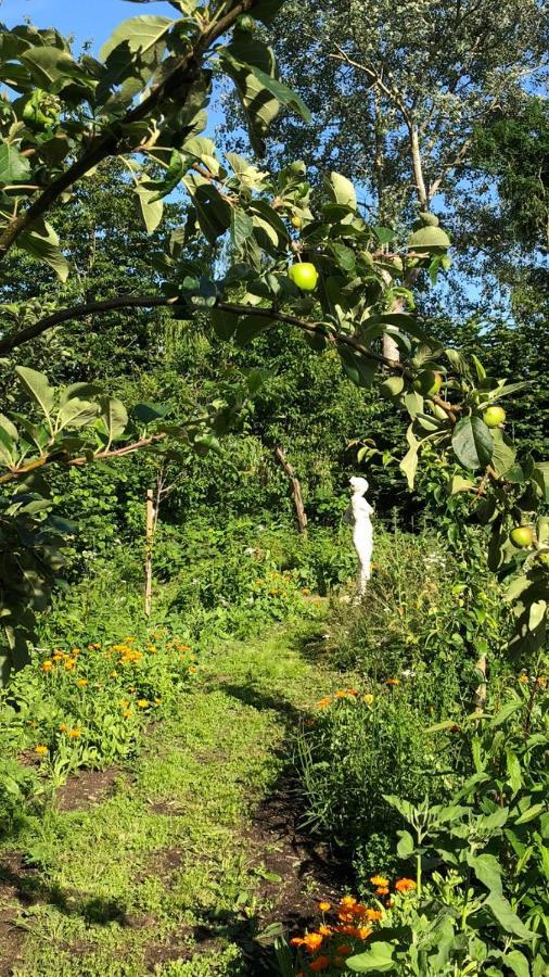 Het Kunstenaarshuis Kamperland Zewnętrze zdjęcie