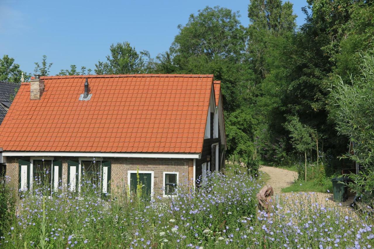Het Kunstenaarshuis Kamperland Zewnętrze zdjęcie
